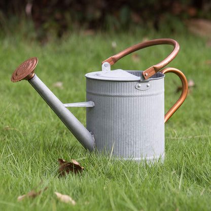HORTICAN 1 Gallon Watering Can, Metal Watering Can with Removable Spout, Farmhouse Galvanzied Water Can, Nice Plant Water Can for Indoor Use and for Outdoor Use