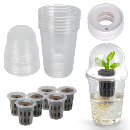6 Pack Clear Hydroponic Nursery Kit, Transparent Plant Starter Hydroponic Pots for Seed Starting, Hydroponic System for Nursery