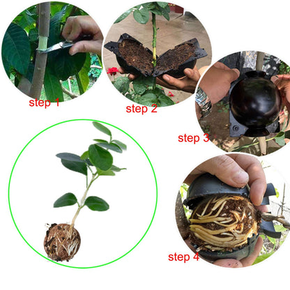 Lazzineer Tree Root Growing Box, Reusable Transparent Plants Asexual Reproduction Grafting Ball, High Pressure Air Layering Pods Propagation Kit (20pcs Small)