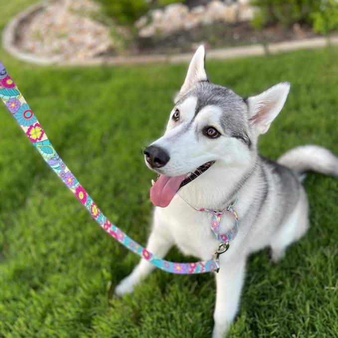 Lucky Love Dog Martingale Collar and Leash Set, Premium No Slip Martingale Collar for Dogs, Great for Whippets, Greyhounds, and More (Caroline, Medium - Combo)