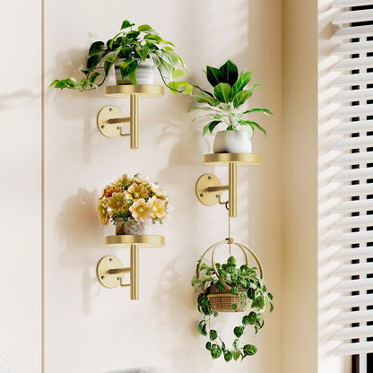 YUOROS 3 Pack Wall Plant Holder Stand Wall Planters for Indoor Plants Hanging Window Plant Hanger Decor (Gold)