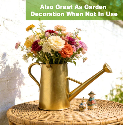 Watering Can for Outdoor&Indoor Plants，1.5 Gallon（5.7L） Metal Watering Can with with Removable Spout，Large Galvanized Steel Garden Flower Water Can Watering Pot with 2 Handles，Gold