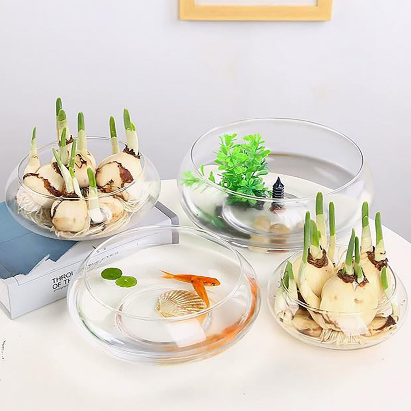 Flower Glass Vase, Bowl Terrarium Succulent Planter, Air Plant Hydroponic Display, Floating Candles Decorative Centerpiece Floral Container for Home or Wedding, Clear