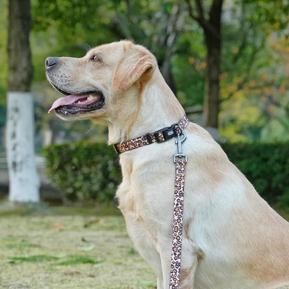 Dog Collar Leash Set, Leopard Pattern, Polyester Material, Adjustable Collar and 5ft Matching Leash, for Puppy Dogs.(XS, Brown Leopard)