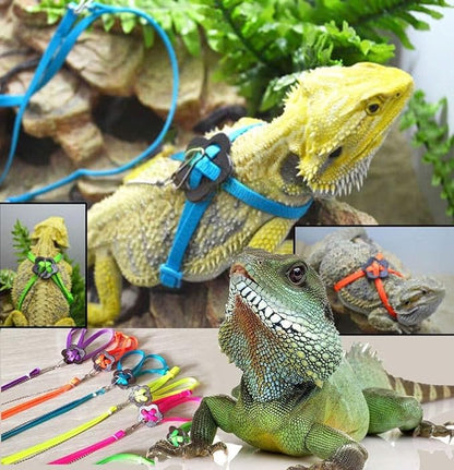 Adjustable Harness Leash for Birds 2Pack Nylon Anti-bite Outdoor Training Walking Control Rope for Parrot African Grey Cockatoo Macaw Ringneck Parakeet Cockatiel Reptile Lizard (Yellow+Green)