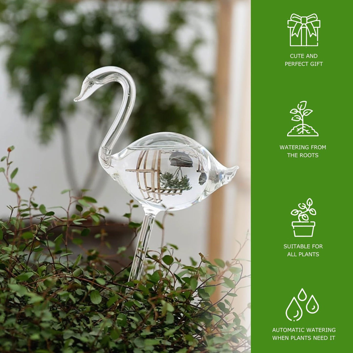 2-Pack Star-Shaped Glass Self-Watering Globes for Indoor Outdoor Plants – Automatic Irrigation Decorative Watering Bulbs for Garden Flower Pots, Patio, Home Decor (Cat)