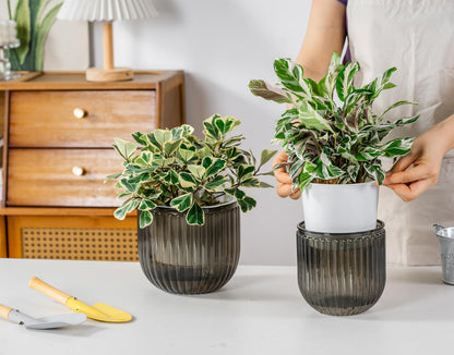 Melphoe Self Watering Pots for Indoor Plants Planter, 6.5/5.3 Inch 2 Pack Planters Self Watering Plant Pots for Flower, Houseplants, Succulent, African Violets and Cactus with Drainage