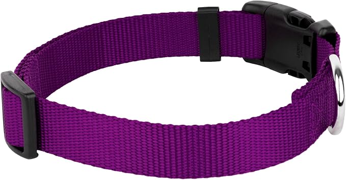 Country Brook Petz - Everyday Nylon Dog Collar and Leash - 10+ Cool Colors (1 Inch, Large, Purple)
