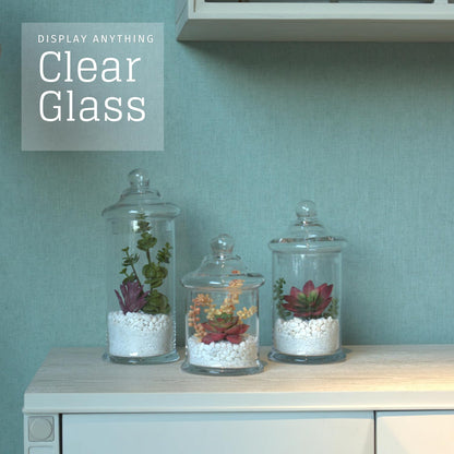 Glass Apothecary Jars with Lids, Set of 3 - Bathroom Storage Organizer for Qtips, Cotton Balls, Bath Salts, Candy, Kitchen & Home Decor (11", 8.5", 7.5" Heights)