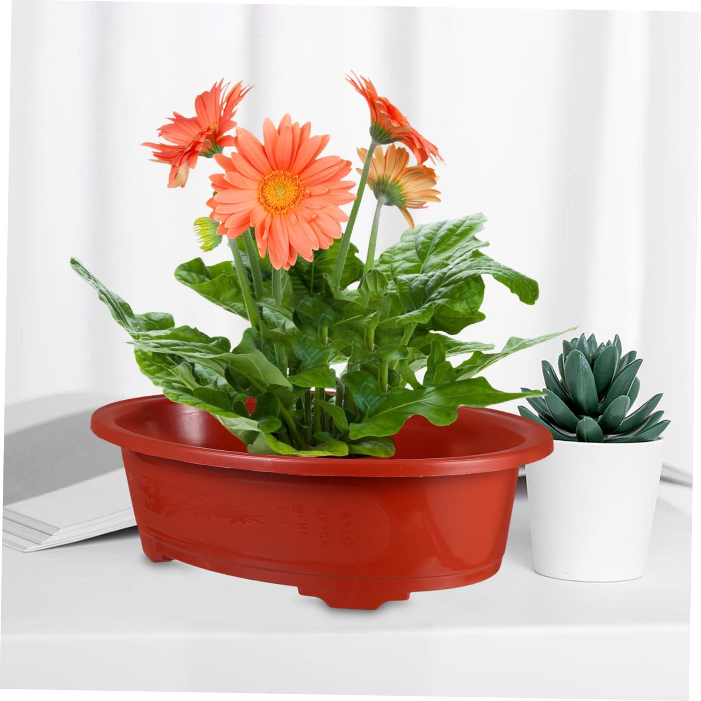 VINTORKY 2pcs Oval Plastic Flower Pots Indoor Outdoor Planters Drainage for Herbs Succulents and Garden Decor