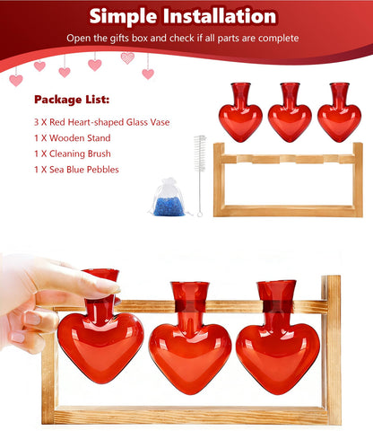 Nacome Plant Terrarium Propagation Stations: Mothers Day Gifts for Mom Plant Lovers Women Wife Daughter - 3 Bulb Glass Vase with Wooden Stand Tabletop for Hydroponics Garden Home Wall Decor(Red)
