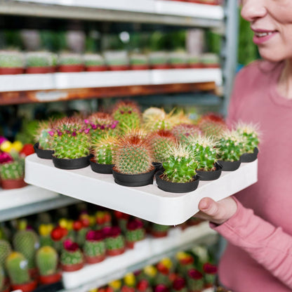 KINGLAKE 2 Inch Plastic Nursery Pots,100 Pcs Seed and Cutting Pots for Succulent Plants (Black)