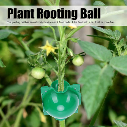 Yuecoom Plant Rooting Device, Reusable Plant Rooting Device High Pressure Propagation Ball Box Plant Grafting Ball Propagation Ball (Green)