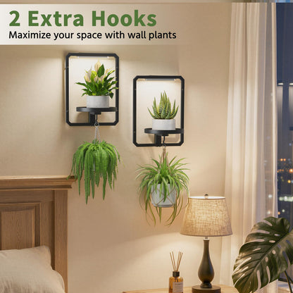 LASZOLA Plant Picture Frame Holder Wall Mount Indoor Window with 2 Grow Light, 2 Pack Modern Floating Flower Stand Shelf with Hooks, Metal Hanger Display Decor for Living Room, Black