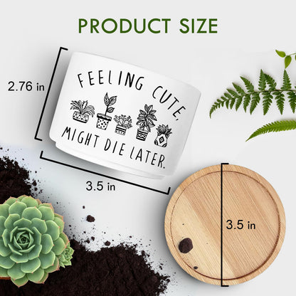 Jutasty Funny Succulent Plant Pot, Small Flower Planter for Indoor Plants, Cute Ceramic Cactus Planter Pots with Drainage, Windowsill Desk Decor Unique Planter Gift, Feeling Cute (No Plants)