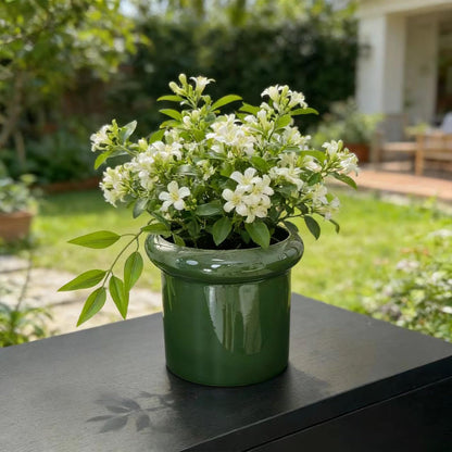 DJMKLCZTTKX Ceramic Flowerpot with Tray,Dark Green Home Decor Planters for Bedroom Balcony and Office,Ceramic Pots for Plants and Perennial Flowers for Housewarming