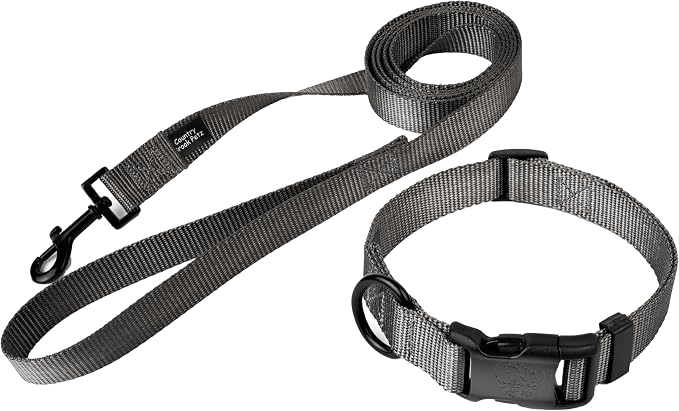 Country Brook Petz - Everyday Nylon Dog Collar and Leash - 10+ Cool Colors (1 Inch, Large, Charcoal)