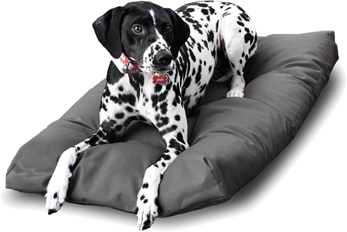 Naturepedic Organic X-Large Pet Bed - Super Plush Dog & Cat Beds - Ultra Supportive Dog Bed Mat - Ideal Pet Bed with No Polyurethane Foam - 41" x 27" x 4"