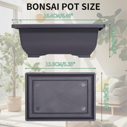 Little pot friend Bonsai Pots, Plastic Bonsai Tree Pots, Bonsai pots with Humidity Tray and Drainage, Suitable for Growing Potted Plants in Both Indoor and Outdoor Gardens (Rectangle, 3pcs-6.5")