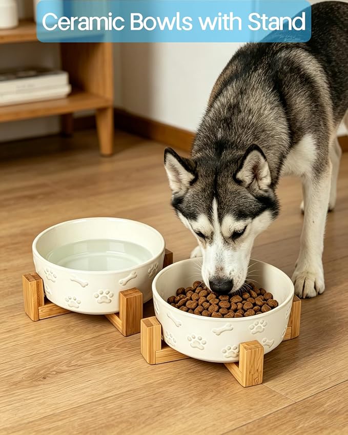 Ceramic Dog Bowls with Stand, 6.5 inch Dog Food Water Bowl Set for Medium Small Dogs Pet Dishes Set of 2, White with Cute Pattern