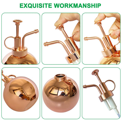 Lianshi Stainless Steel Plant Sprayer, Small Watering Can Plant Misting Bottle, Modern Gardening Tools for Indoor Potted Plants Watering and Misting