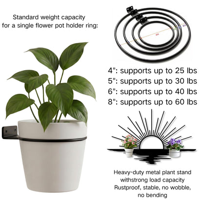 Glethua Sunrise Metal Wall Mount Plant Holder, Sun Wall Plant Holder, Sunshine Metal Hanging Planter for Living Room, Kitchen, Bathroom (Black, 59"x 35"| 150x89cm, 4 Pack 4" Flower Pot Holder Ring)