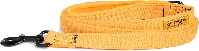 Pawsitive Hemp Leash - 5ft Long, with a Padded Handle for Extra Comfort. Made from Durable, Machine Washable Hemp; Yellow