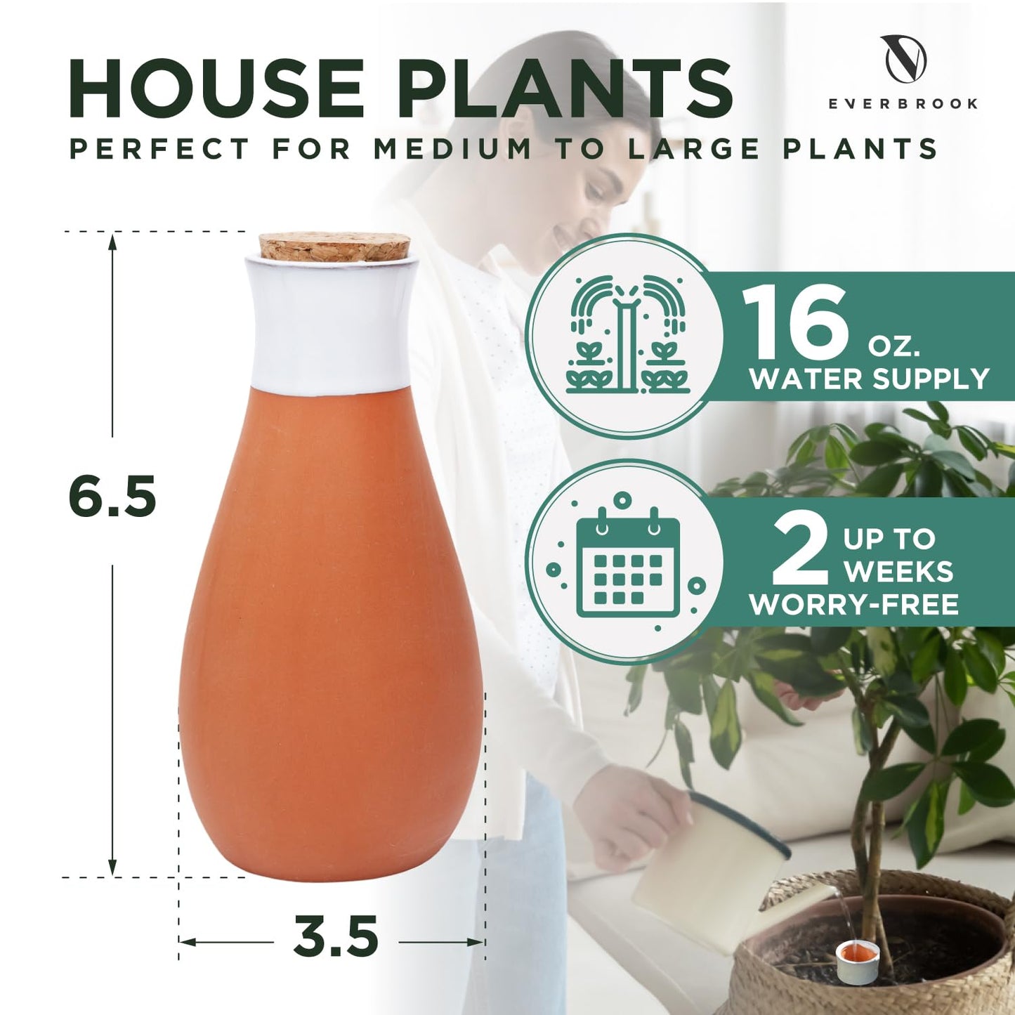 Everbrook Plant Self Watering Globes - Terracotta Watering Spikes - Slow Release Olla Watering Pots - Drip Irrigiation Olla System
