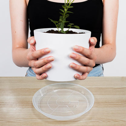 Dapsang 6 Pack Plant Saucers of 10 Inch, Clear Plastic Plant Trays for Pots Indoor Outdoor, Round Durable Sturdy Plant Water Catcher Tray for Drainage Decoration Protection