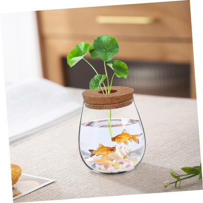 ifundom Creative Hydroponic Glass Vase for Plants Transparent Desktop Propagation Planter Elegant Terrarium for Indoor Greenery Low Maintenance Water Propagation Station for Spaces