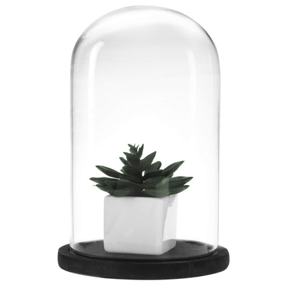 MyGift The Bell Jar Glass Cloche with Black Wood Base, 10 Inch Tall Clear Decorative Glass Dome Display for Plants, Curios, Keepsakes, Heirlooms