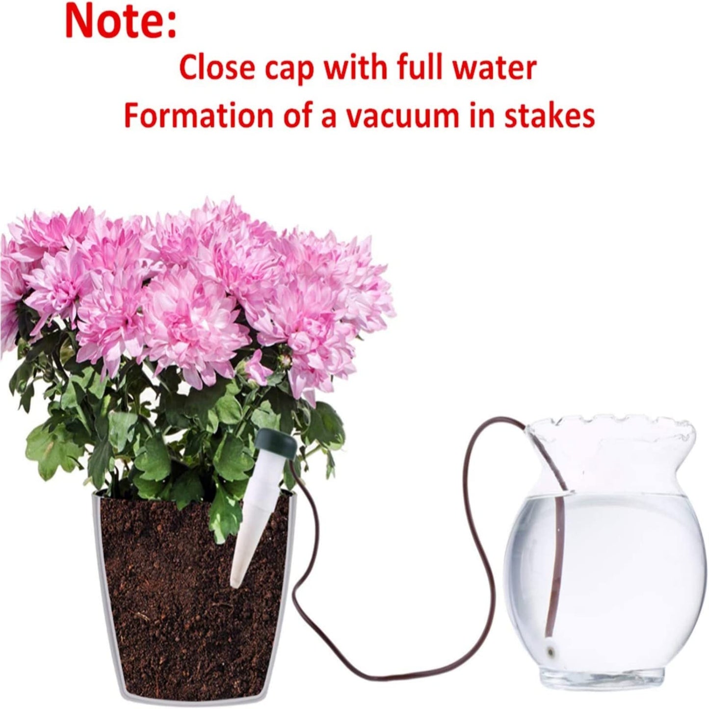 HESTYA 24 Pack Plant Self Watering Stakes Insert Automatic Watering Devices Self Watering Spikes Indoor Outdoor Plant Watering for Vacation
