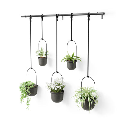 Umbra Triflora Hanging Planter for Window, Indoor Herb Garden, Set of 5, Black