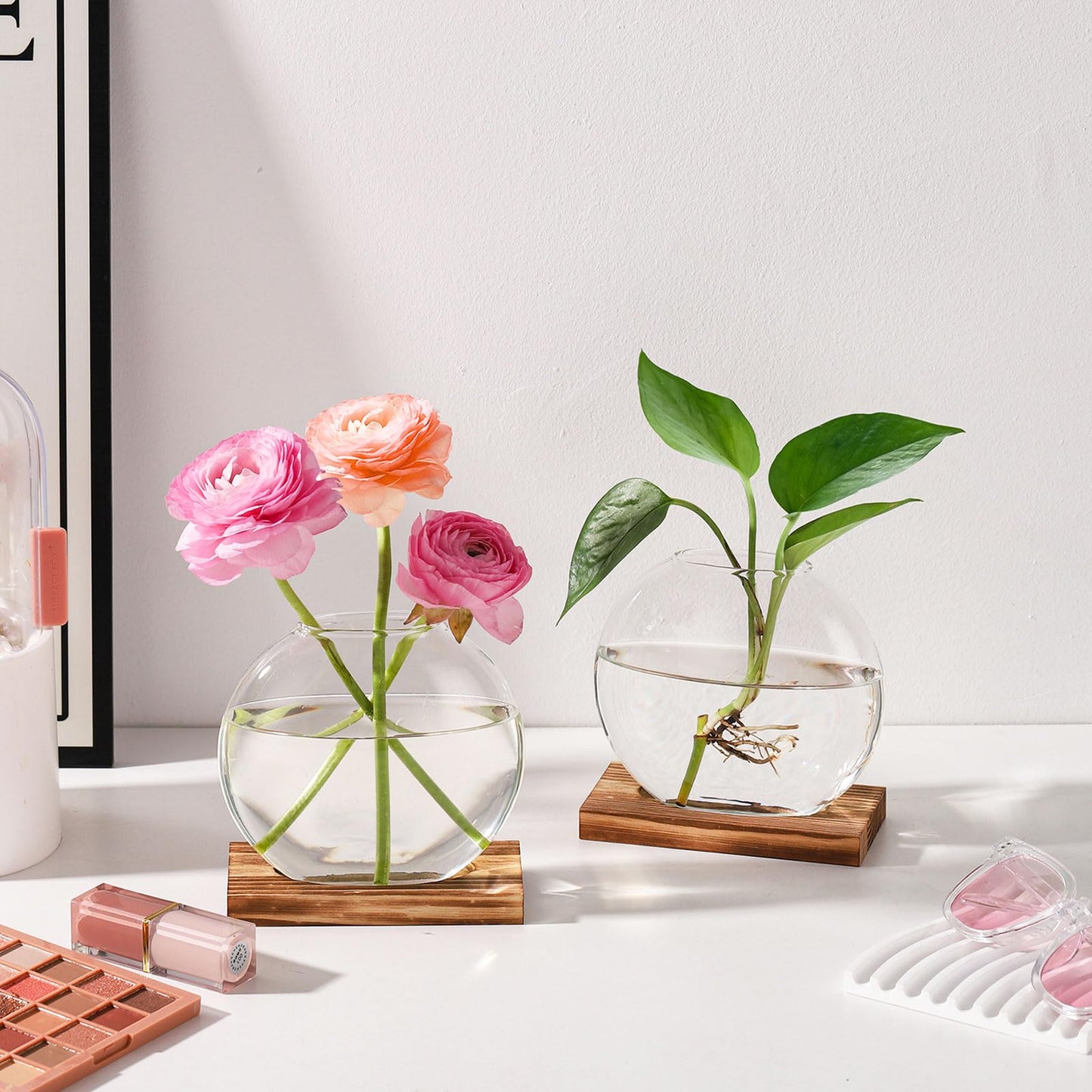 TkoYuHm 4 Pack Plant Propagation Station with Wooden Base Glass Terrariums for Indoor Plants Decorative Round Vases for Flowers Hydroponic Planter for Home Office Decor