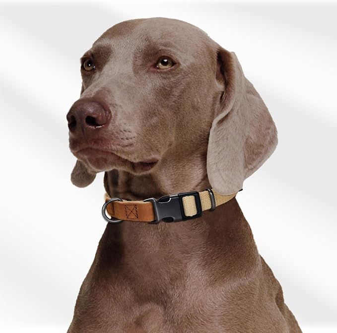 Mile High Life Genuine Leather Dog Collar, Soft Cotton Pet Collars with Heavy Metal Buckle for Small Large Dogs (Khaki, M Neck 15"-18")