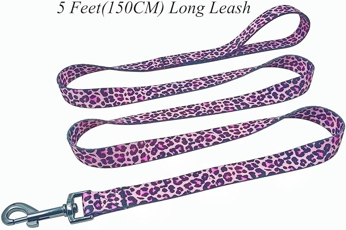 Dog Collar Leash Set, Leopard Pattern, Polyester Material, Adjustable Collar and 5ft Matching Leash, for Puppy Dogs.(XS, Colorful Leopard)
