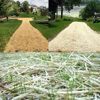 Made in U.S.A. Heavy Duty 6 inch Garden Stakes - Stronger Holding Power vs Metal Landscape Stakes Biodegradable Over Time (No More Rusting Metal) (6 inch, 12, Stakes)