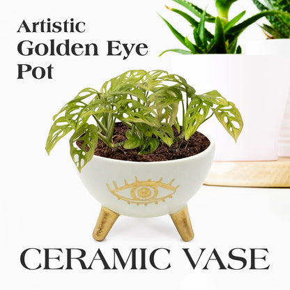 SLS SUPPLY FLORA - Gold Evil Eye Ring Bowl, Modern Table Top Planter and Ceramic Jewelry Dish, Small Decorative Bowl, Chic Table Key Holder for Coins and Other Trinkets