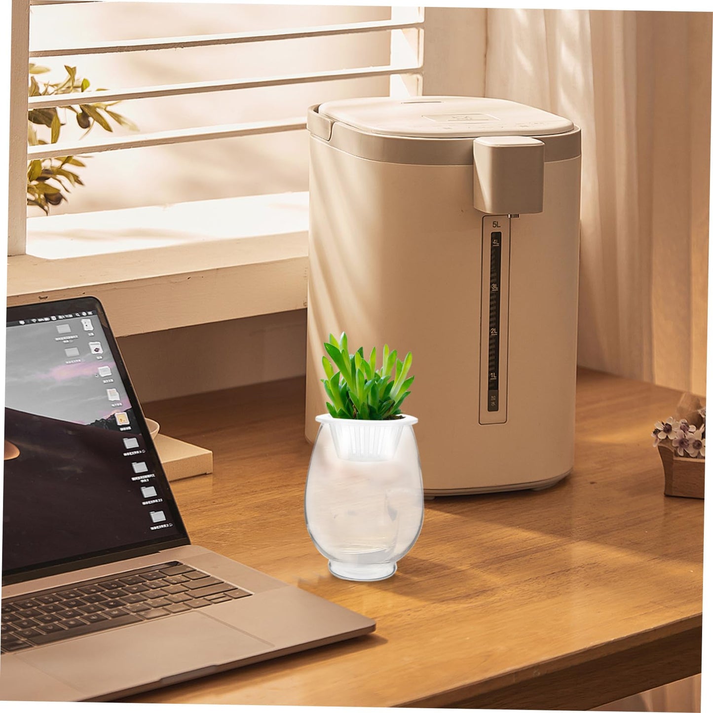 Happyyami Flower Glass Terrarium Simple Design Hydroponic Vase for Plants Desktop Planter for Decoration and Elegant Flower Holder