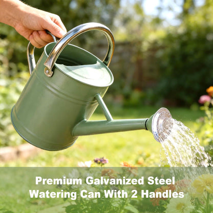 Watering Can for Outdoor&Indoor Plants，1 Gallon Metal Watering Can with with Removable Spout，Galvanized Steel Garden Flower Water Can Plant Watering Pot with 2 Stainless Steel Handles，Cream Green