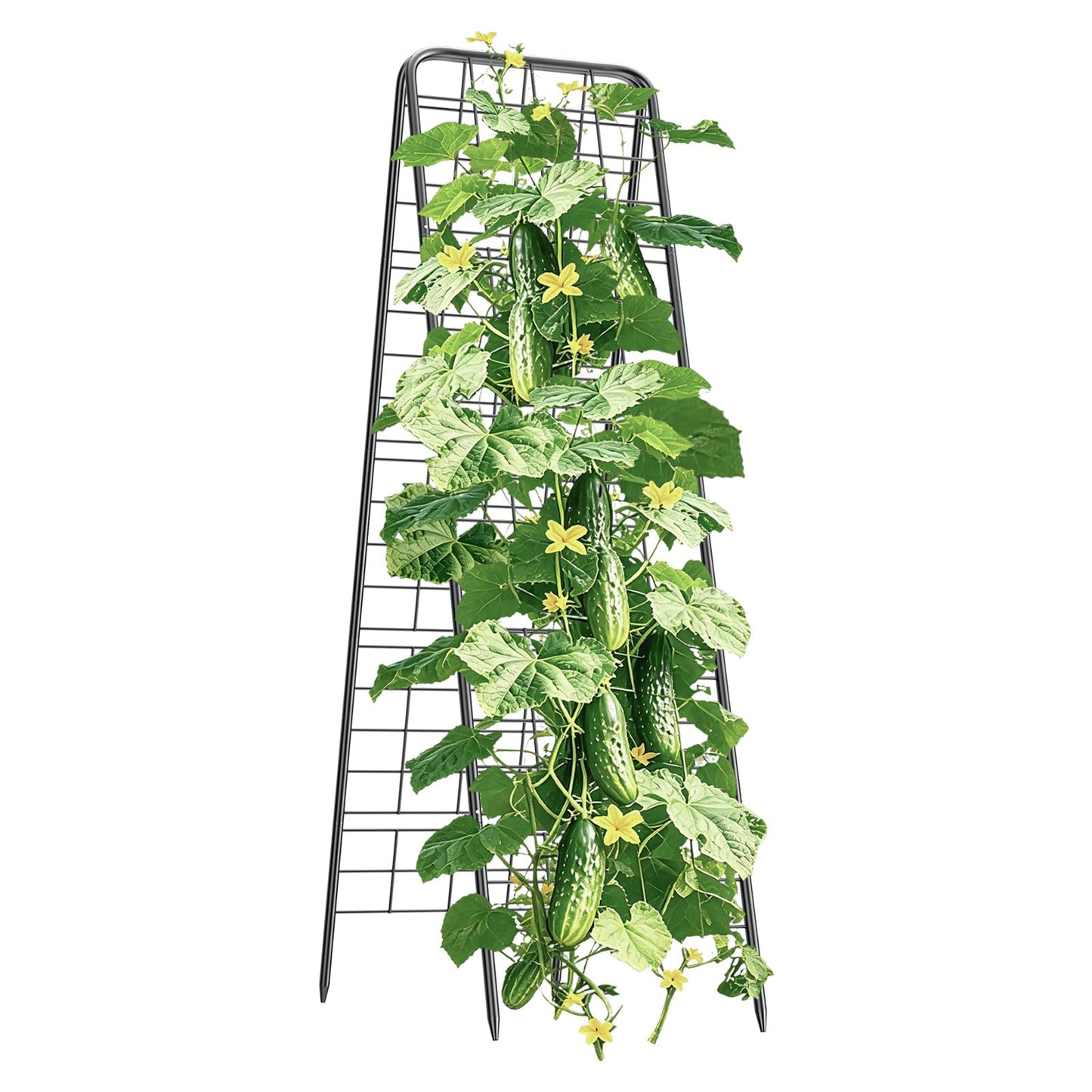100% Metal Cucumber Trellis for Raised Bed,62"x17" A-Shape Garden Plant Support for Climbing Plants, Heavy Duty Metal Garden Trellises Plant Support for Vine Vegetables Outdoor (Black, 62x17inch(H*W))