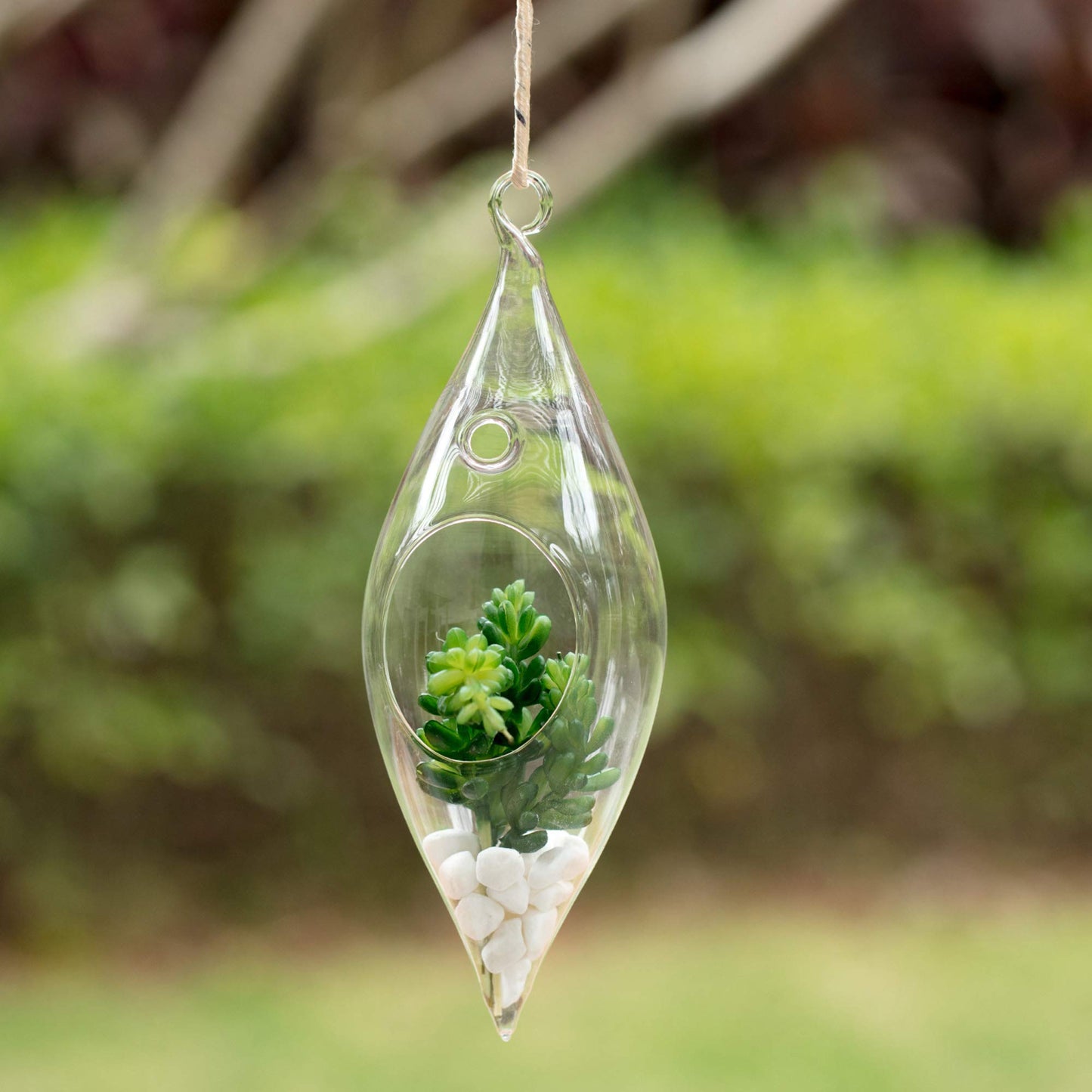 WGV Glass Hanging Plant Terrarium Bulk, Width 3", Height 9", Droplet DIY Succulent Air Planter Clear Tea Light Votive Candle Holder for Event Home Garden Outdoor Decor, 6 Pieces