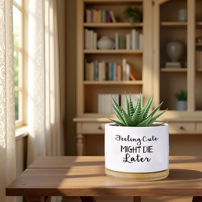 Haooxinwei Funny planters for Indoor Plants Garden Succulent Pots, with Drainage Holes and Saucer(No Plants) (Feeling Cute Might Die Later)