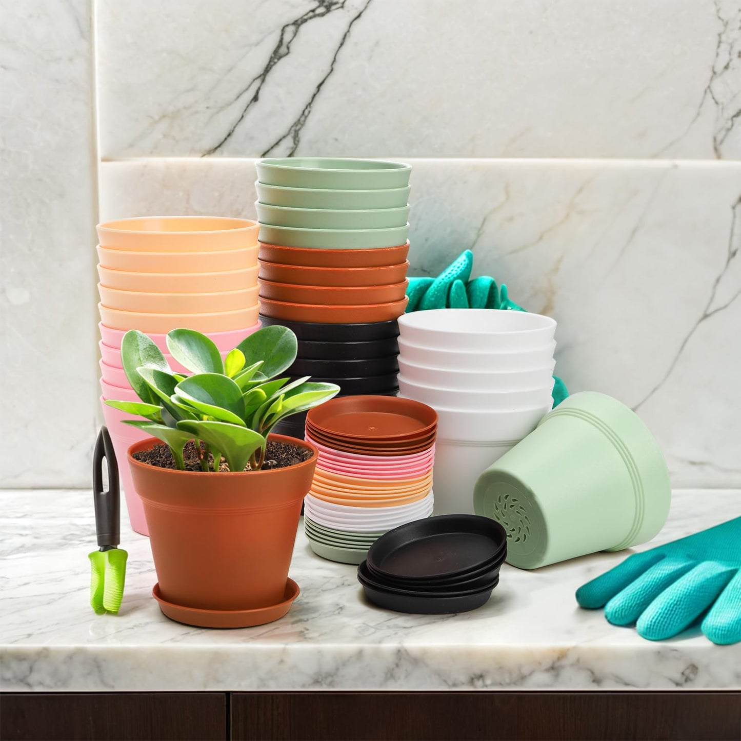 Frcctre 30 Pack 4 Inch Plastic Planter Pots, Small Flower Pots Seedlings Nursery Pots with Drainage Hole and Saucers for Indoor Outdoor Plants Flowers Herbs Succulents, 6 Colors