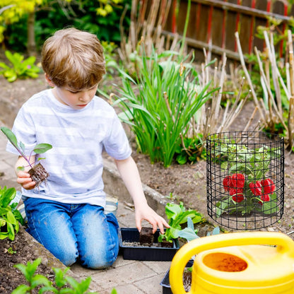 Eunika 8 Pack Round Plant Protector from Animals,24 Pcs 12" x 12" Metal Mesh to Keep Animals Out Wire Plant Protectors for Rabbits Chicken Duck Barricades for Garden Vegetable Flowers Protection