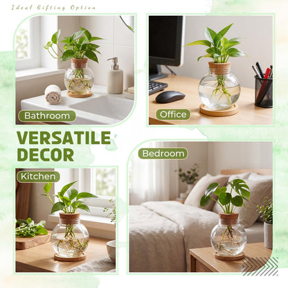 Ripeng 6 Pack Propagation Vases for Plants Plastic Large Plant Propagation Station with Hole Lid and Cork Coasters Growing in Water Hydroponic Home Office Table Garden Kitchen Decor, 4.06 x 3.98 Inch
