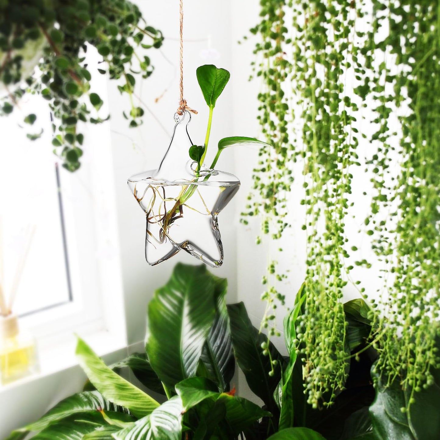 Housoutil Hanging Glass Vase Hydroponic Glass Terrarium Marine-Inspired Shape for Indoor Plants Home Décor