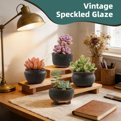 ginojex Retro Ceramic Succulent Garden Pots Small Plant Planter Container with Drainage Set of 5 for Home Office Decor