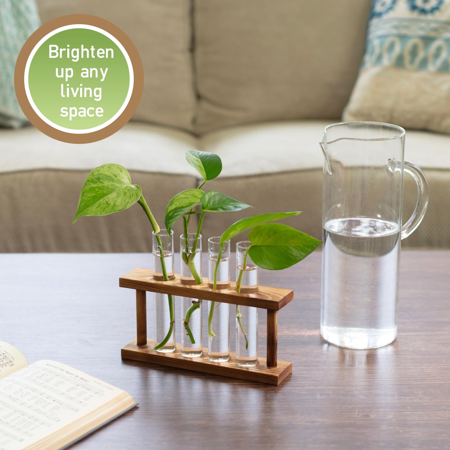 D'Eco Glass Plant Propagation Station (Set of 4 Tubes w Wooden Display) - Grow Hydroponics & Watch Them Grow Roots - Tabletop Vases for Spring Home & Office Decor for Plant Lovers