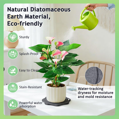 BAISHUN Plant Saucer for Indoors, 4PCS Flower Pot Saucers Plant Trays for Pots Instant Dry Diatomite Water-Catching Trays for Indoor Plants Drip Trays Keeping Counter and Floors Dry and Clean